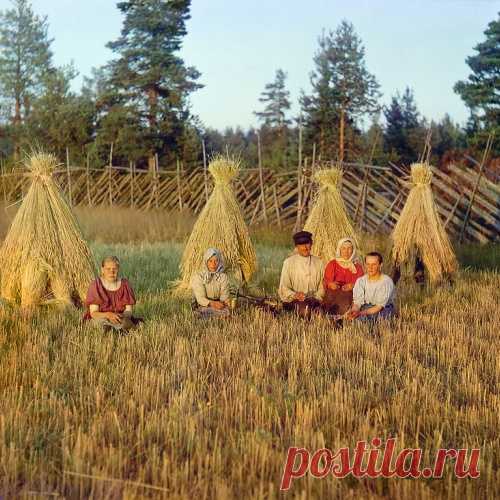 Русская женщина: «Пришла в хлев, на коленочки встала – и родился, девка поет»