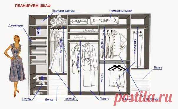 Как спланировать самый удобный шкаф мечты: простые секреты Чтобы всё было разложено по полочкам