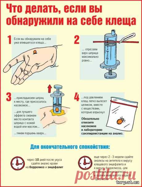 Клещ? убираем!