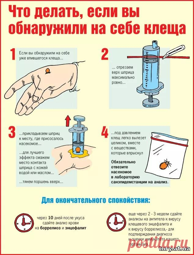 Клещ? убираем!