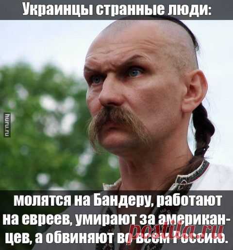 Энергосистема Украины потеряла один энергоблок АЭС – Киев опять экспериментирует с американским топливом 08/12/2014 | Ваше мнение