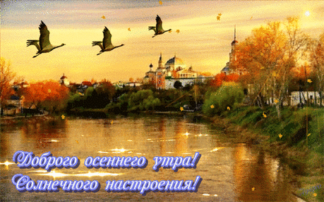 508087220307537.gif (599×373)