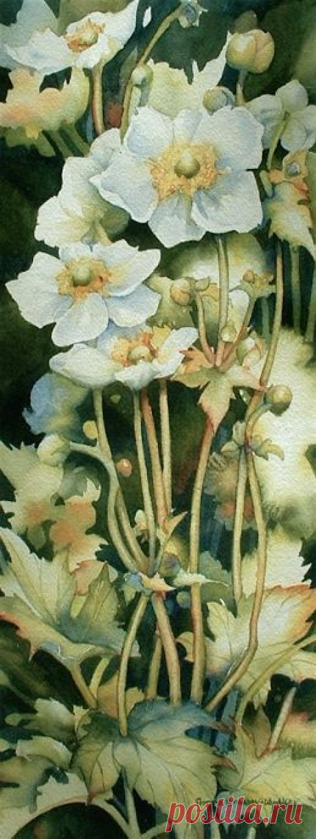 Найдено на сайте normabradleywalker.com.