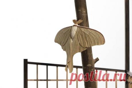 Японский художник вырезает из дерева потрясающие скульптуры, которые