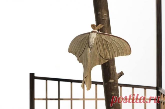 Японский художник вырезает из дерева потрясающие скульптуры, которые