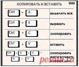 АЗБУКА КОМПЬЮТЕРНОЙ ГРАМОТНОСТИ. ПРОЧТИ И ЗАПОМНИ.
