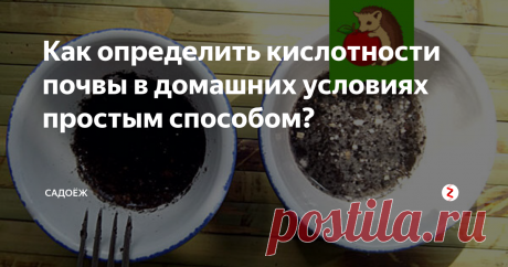 Как определить кислотности почвы в домашних условиях простым способом? Кислотность почвы - очень важный показатель. От этого параметра во многом зависит то, как посаженные растения будут расти и развиваться, какой дадут нам урожай.
С годами почва неизбежно закисляется, это вполне естественный биологический процесс. Из-за чего? От избытка влаги и вымывания кальция из грунта, от