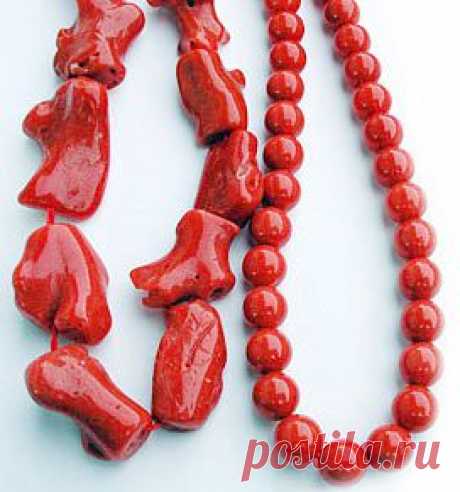 Кораллы :: Свойства камней и минералов