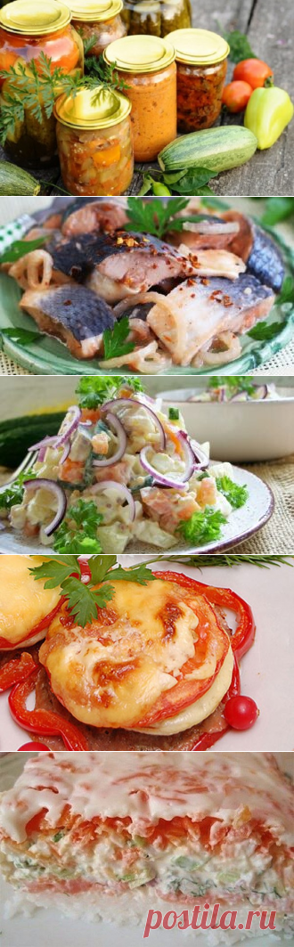 15 рецептов салатов из кабачков на зиму &#8902; Кулинарная страничка