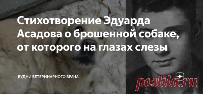 Стихотворение Эдуарда Асадова о брошенной собаке, от которого на глазах слезы Я хочу поделиться с вами этим трогательным и по-настоящему пронзительным стихотворением.  В произведении рассказывается о собаке, которую хозяин оставил на произвол судьбы, бросив на вокзале. Асадов изображает такой поступок хозяина как бессердечный.  Примечательно, что как и в жизни, другие действующие лица стихотворения, за исключением старика, не проявляют никакой заботы о собаке. Но тот сетуе...