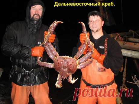 бывает и больше...