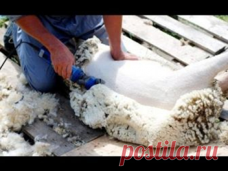 Как делают пряжу из шерсти - SHPULYA.com