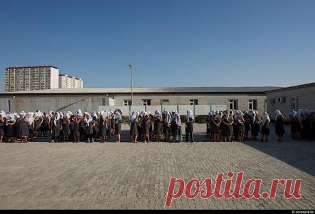 Женские колонии в Казахстане (64 фото)