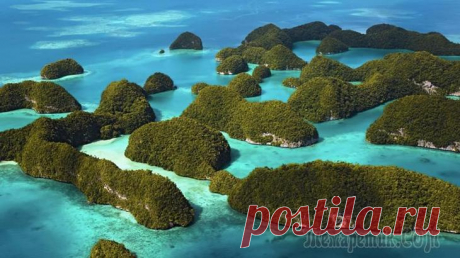 Тайны океана: 10 загадочных островов нашей планеты В 1704 году шотландский моряк Александр Селькирк по собственному требованию был высажен на острове Мас-а-Тьерра. На нем он прожил следующие 4 года, а его история легла в основу романа Даниэля Дефо «Ро...