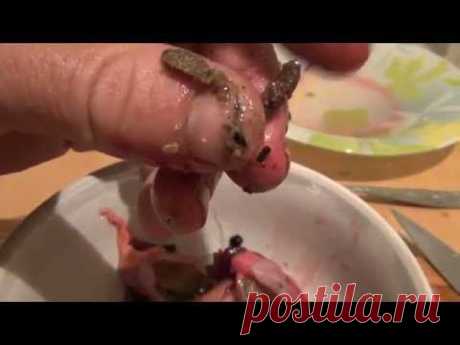 Вяжем мушку на хариуса