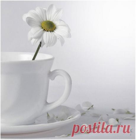 Cнимаем стресс старинными рецептами. 
1. Если вы все время испытываете раздражительность и нервозность, попробуйте чай из мелиссы и листьев апельсина. Это старинное проверенное средство.

2. Цветы боярышника, трава спорыша, трава хвоща полевого, фиалка трехцветная - все смешать в равных частях. 2 ч.л. смеси залить стаканом кипятка, настоять 30 мин, процедить. Выпить это количество за день в 4-5 приемов. Пить, пока не перестанете нервничать..