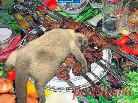 Прикольные и интересные фото 9