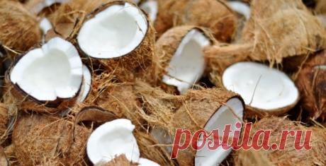 Pravo kokosovo brašno & domaće kokosovo mleko - Vitki Gurman