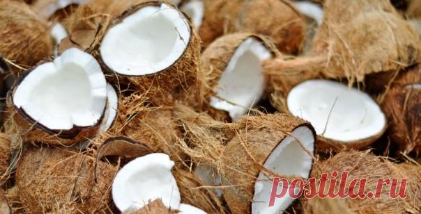 Pravo kokosovo brašno & domaće kokosovo mleko - Vitki Gurman