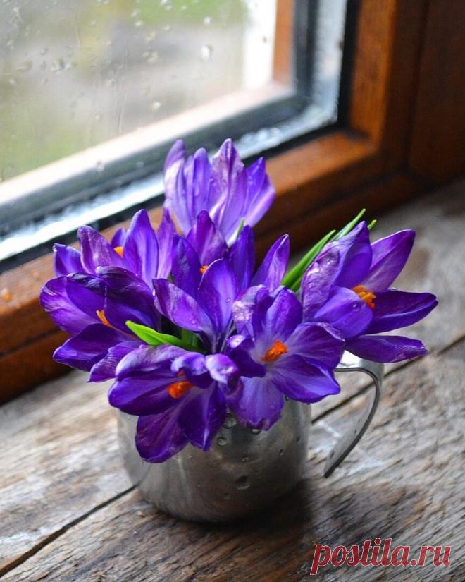 Пусть у каждого будет то...
                что  гораздо Дороже денег.....