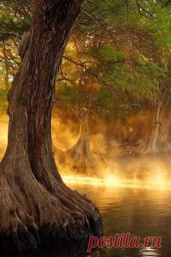Kirill Gerusov – Google+