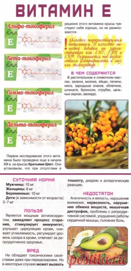 Витамин Е в организме человека