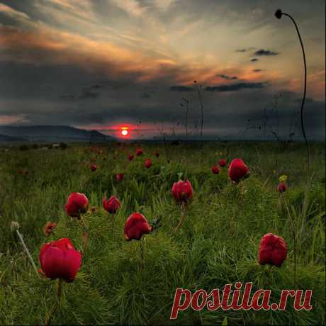 пейзажи природы цветы: 129 тыс изображений найдено в Яндекс.Картинках ВОТ ОНА КРАСОТА НАШЕЙ ЗЕМЛИ.