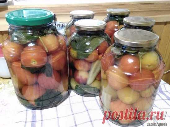 Помидоры с малиновыми листьями
Томаты получаются очень вкусные, кисло-сладкие, весь рассол выпивается. Очень хорошо хранятся до нового урожая. Рекомендую попробовать, не пожалеете. А главное - это простое приготовление, без всяких заморочек.
ИНГРЕДИЕНТЫ
сахар, 5 ст. л.
соль, 1 ст. л.
уксус, 1 ст. л.
СПОСОБ ПРИГОТОВЛЕНИЯ
Рецепт на 3х л банку.
Вымыть помидоры и малиновые листья.
Уложить на дно банки 5-6 листочков малины, затем помидоры и все завершить снова малиновыми листьями.
Залить кипятком