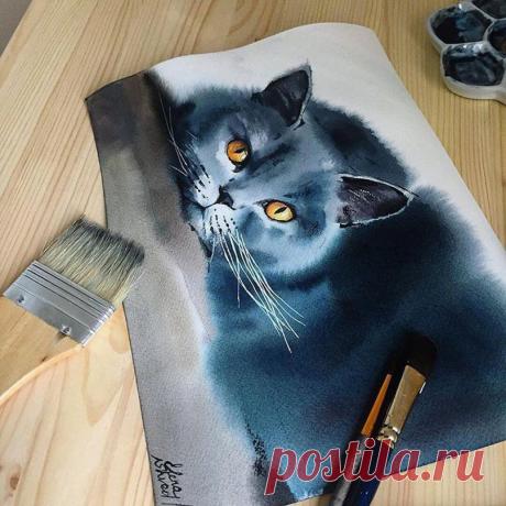 Красавец, правда?