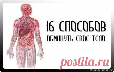 народная медицина | Записи в рубрике народная медицина | ДОБРО ПОЖАЛОВАТЬ В МОЙ ДНЕВНИК!ЗДЕСЬ ВЫ НАЙДЕТЕ МАССУ ИНТЕРЕСНОГО ДЛЯ СЕБЯ И ВСЕЙ ВАШЕЙ СЕМЬИ!