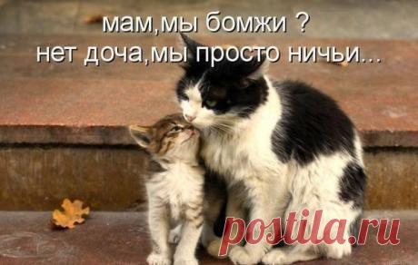 Философия | Записи в рубрике Философия | Дневник Александр_Лобков