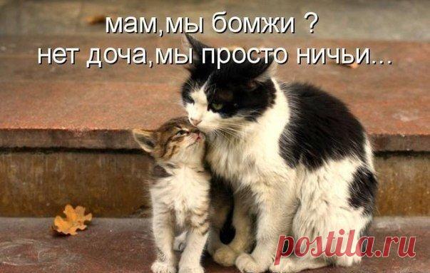 Философия | Записи в рубрике Философия | Дневник Александр_Лобков