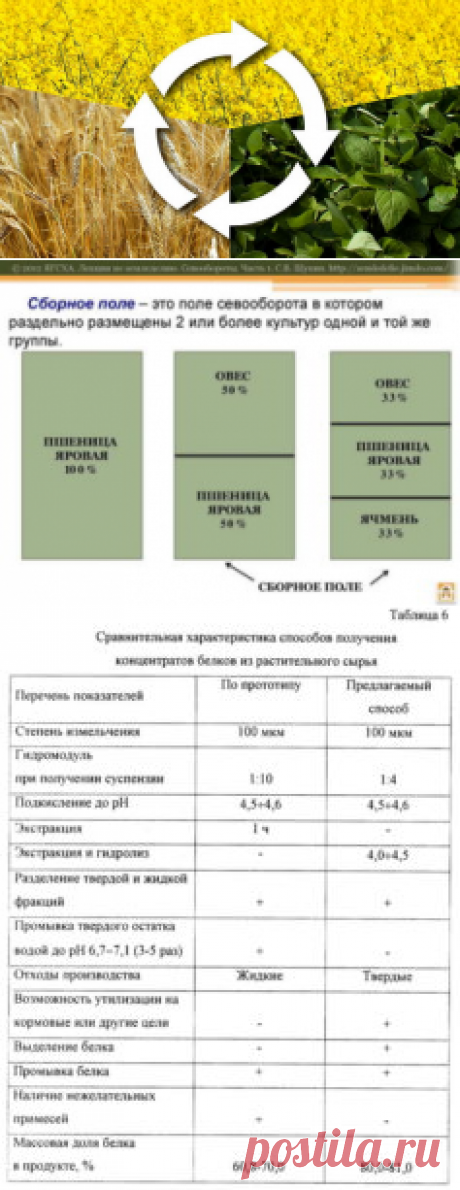 Проектирование севооборотов с приоритетным направлением увеличения производства растительного белка - БиоКорова