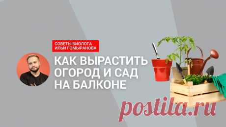 ВИДИО-Спросили биолога: что и как посадить на балконе | IVD.ru - все о дизайне интерьеров и ремонте... Реально ли сделать огород на балконе и что посадить? Мы задали вопросы Илье Гомыранову, биологу, популяризатору науки, куратору сообщества «Одинокая помидорка» Яндекс Кью. Спикер Илья Гомыранов...