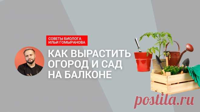ВИДИО-Спросили биолога: что и как посадить на балконе | IVD.ru - все о дизайне интерьеров и ремонте... Реально ли сделать огород на балконе и что посадить? Мы задали вопросы Илье Гомыранову, биологу, популяризатору науки, куратору сообщества «Одинокая помидорка» Яндекс Кью. Спикер Илья Гомыранов...