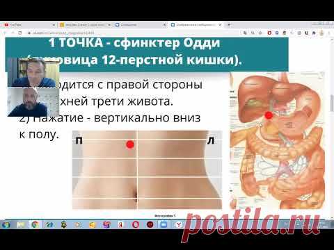 Висцеральный массаж живота себе. Как это работает. Алгоритм действий. Ринат Усманов. Онлайн.