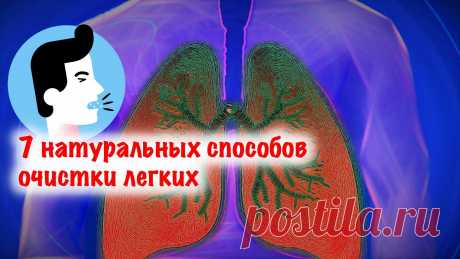 Как удалить бронхиальную слизь и облегчить дыхание: 7 натуральных способов очистки легких Это важно и для курильщиков, и для предупреждения пневмонии!