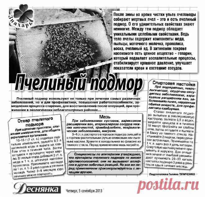 Пчелиный подмор
