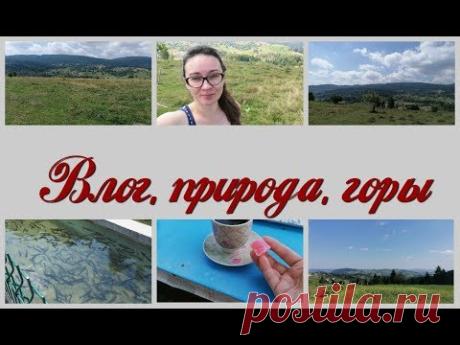 Отдыхаем за городом,живая рыба, природа в горах, дикие свиньи