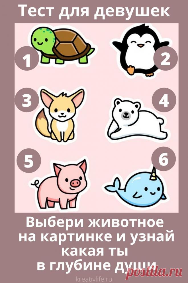 Тест для девушек "Выбери животное" | Психология