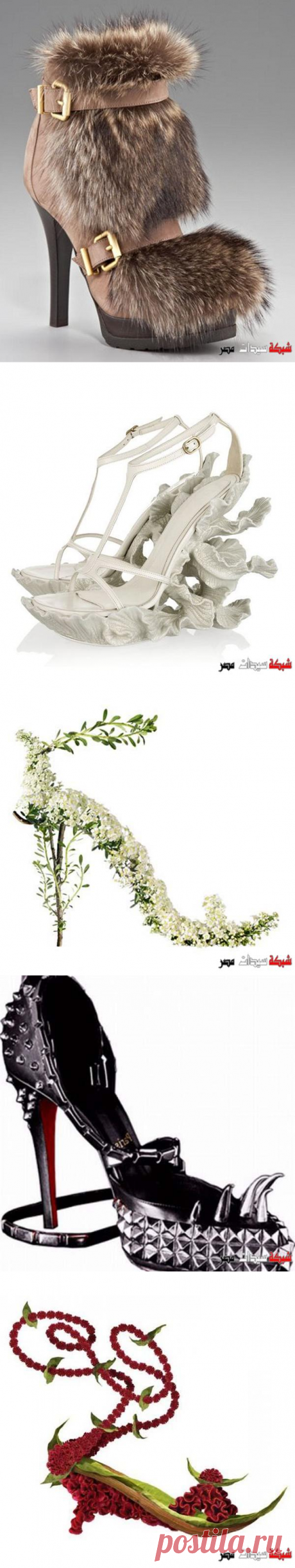 اغرب صور صنادل 2021 - صنادل غريبة جدا - افكار مجنونة لصنادل 2021