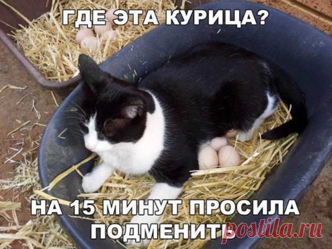 Смешная галерея фотоприколов | Чёрт побери