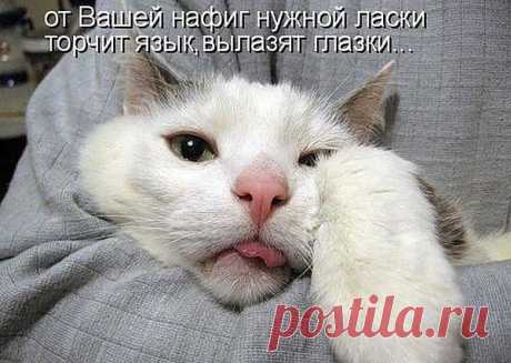 и