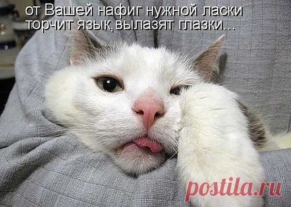 и