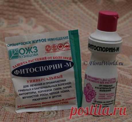 Удобрения, подкормки | Записи в рубрике Удобрения, подкормки | Дневник бама