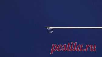 Инфекции, которые могут привести к раку - Mail.ru Здоровье