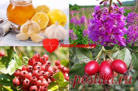 Лечение стенокардии: действенные препараты и народные средства