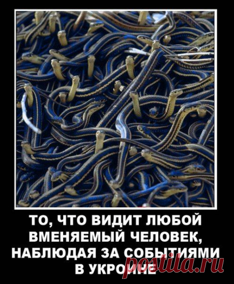 БЕСПЛАТНОЕ САЛО И КОЛБАСА ПО 2,20™