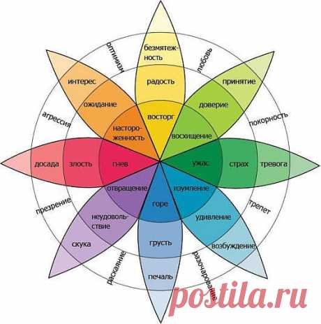 Влияют ли цвета на здоровье?