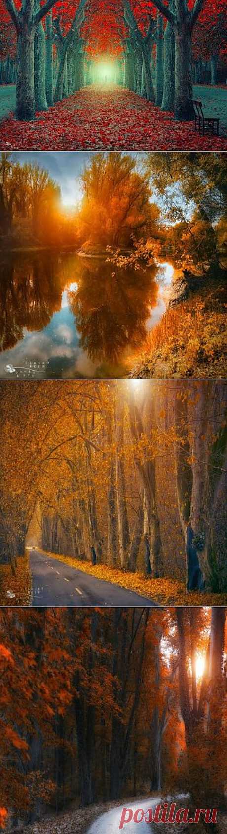 Сказочная страна. Ildiko Neer (фотографии)